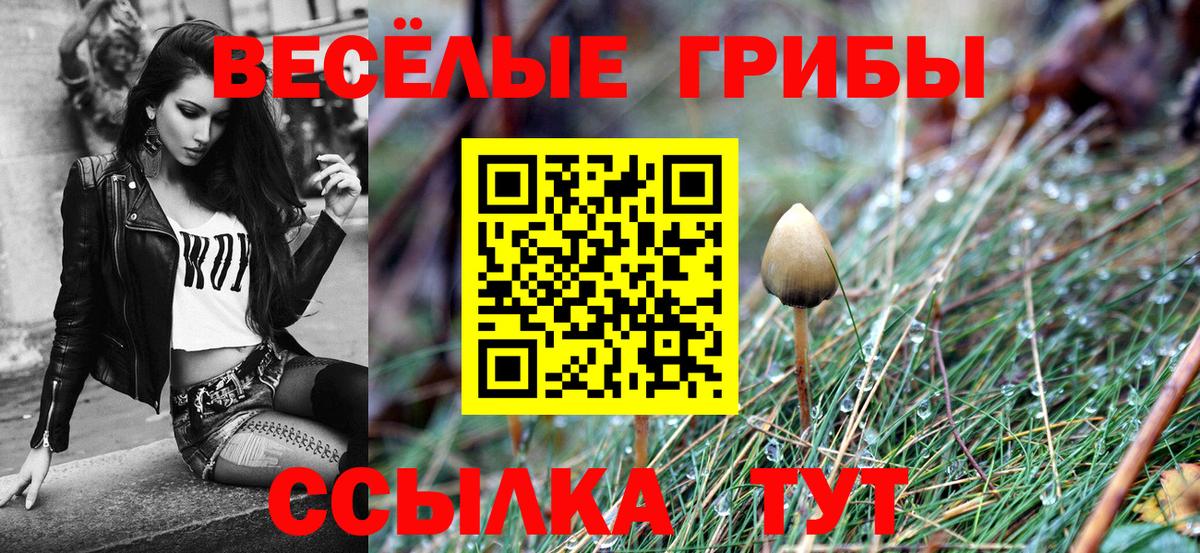 Галлюциногенные грибы ЛСД  Вход с VPN  купить наркотик  Заволжье 